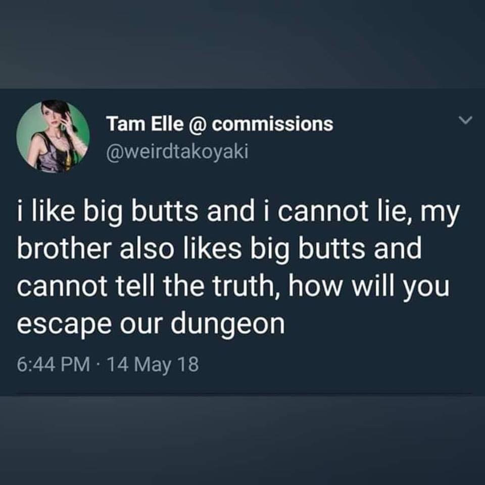 i like big butts and i cannot lie, my brother also likes big butts and cannot tell the truth, how will you escape our dungeon