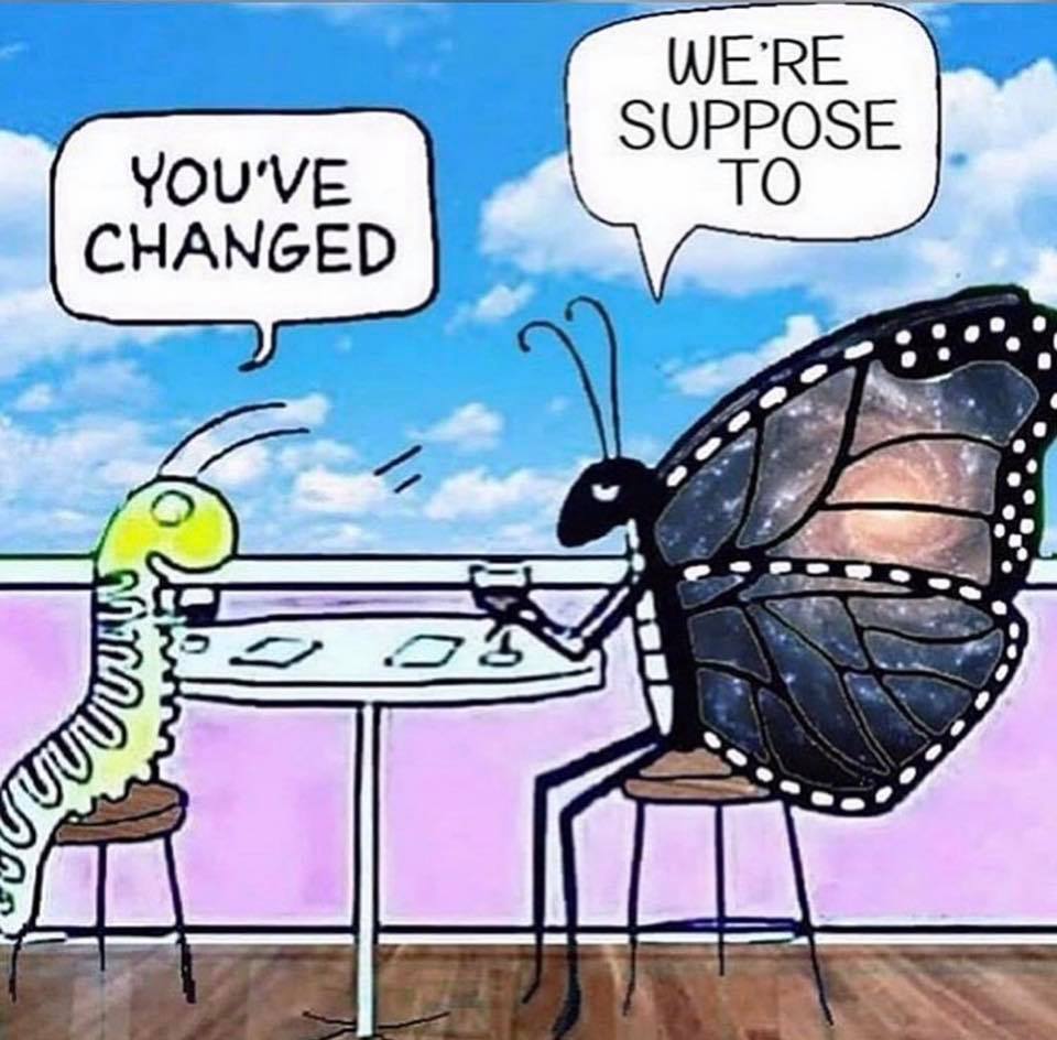 you've changed, we're suppose to, caterpillar and butterfly