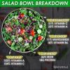 salad bowl breakdown tomatoes, onion, kale, lentils, nutrition, food, jonvenus