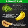 bananas 101, food, nutrition information, prebiotic, resistant starch, antioxidant