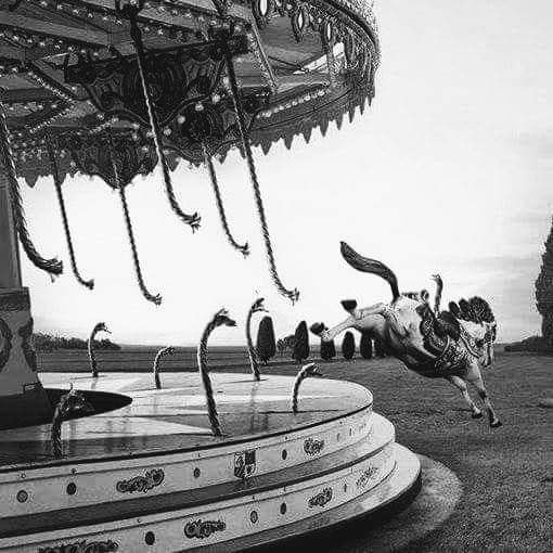 freedom from the carousel