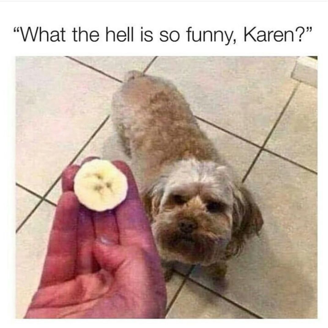 what the hell is so funny karen?, dog in banana