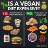 is a vegan diet expensive?, yes if you buy lots of vegan alternatives, no if you focus on wholefoods