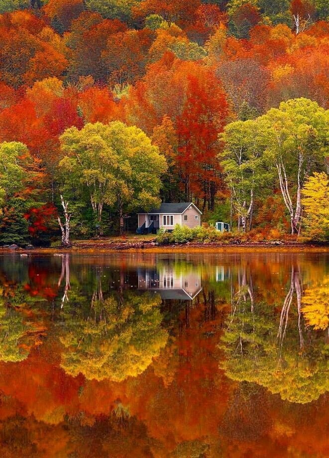 mirror image of a cottage lake house in the fall