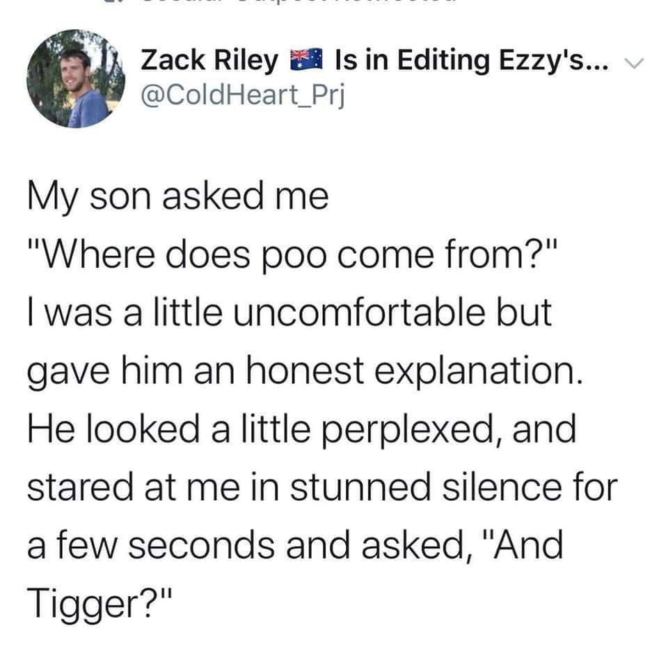 my son asked, where does poo come from?, i was a little uncomfortable but gave him an honest explanation, he looked a little perplexed and stared at me in stunned silence for a few seconds and then asked, and tigger?