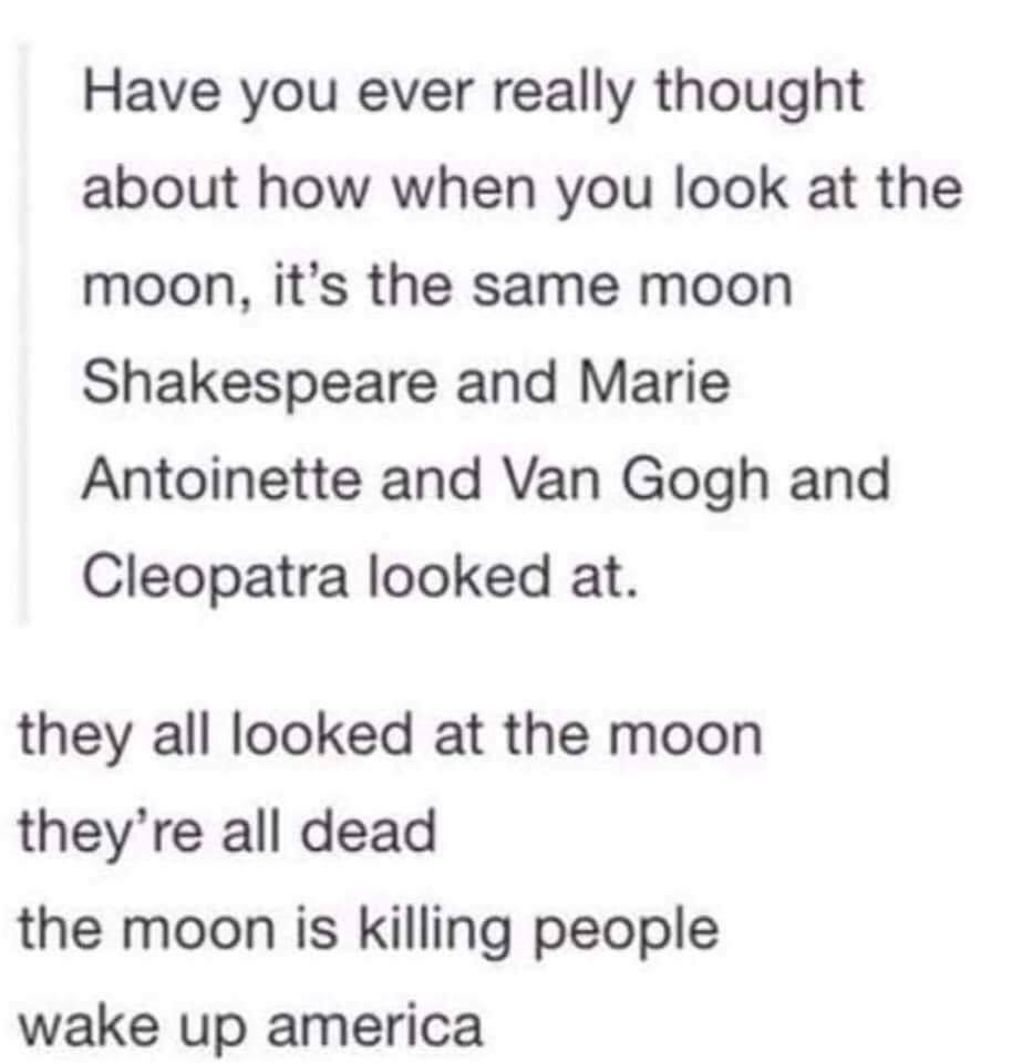 have you ever really thought about how when you look at the moon, it's the same moon shakespeare and marie antoinette and van gogh and cleopatra looked at, they all looked at the moon, they're all dead, the moon is killing people