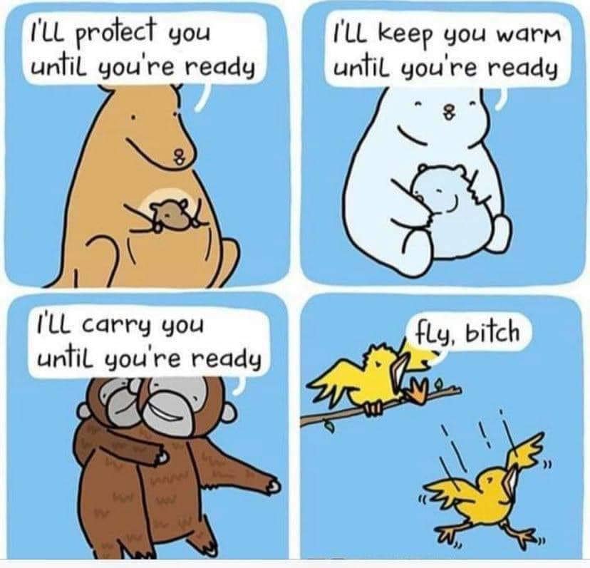 i'll protect you until you're ready, i'll keep you warm until you're ready, i'll carry you until you're ready, fly bitch, comic, parenting in the wild kingdom