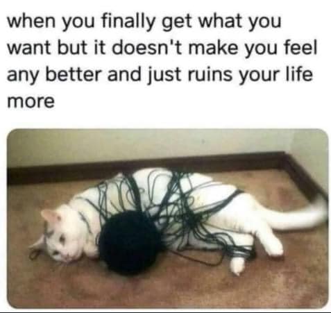 when you finally get what you want but it doesn't make you feel any better and just ruins your life more, cat caught in yarn
