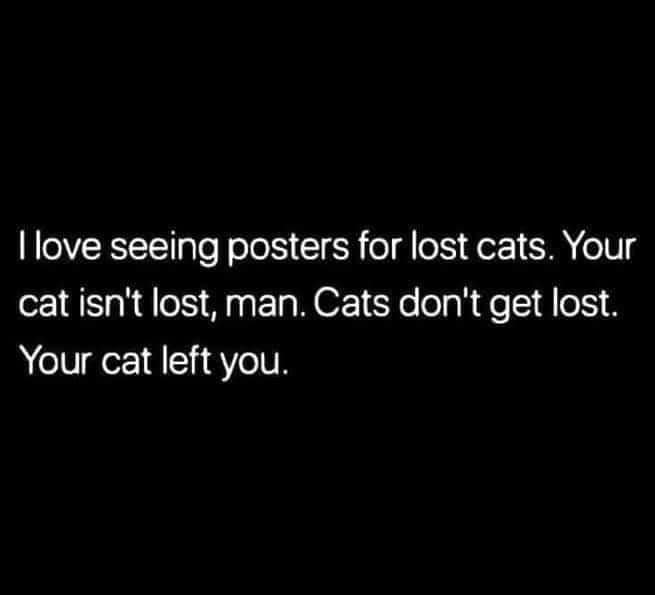 i love seeing posters for lost cats, your cat isn't lost man, cats don't get lost, your cat left you