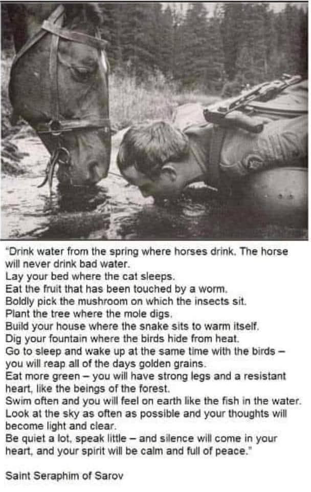 drink water from the spring where horses drink, the horse will never drink bad water, lay your bed where the cat sleeps, eat the fruit that has been touched by a worm