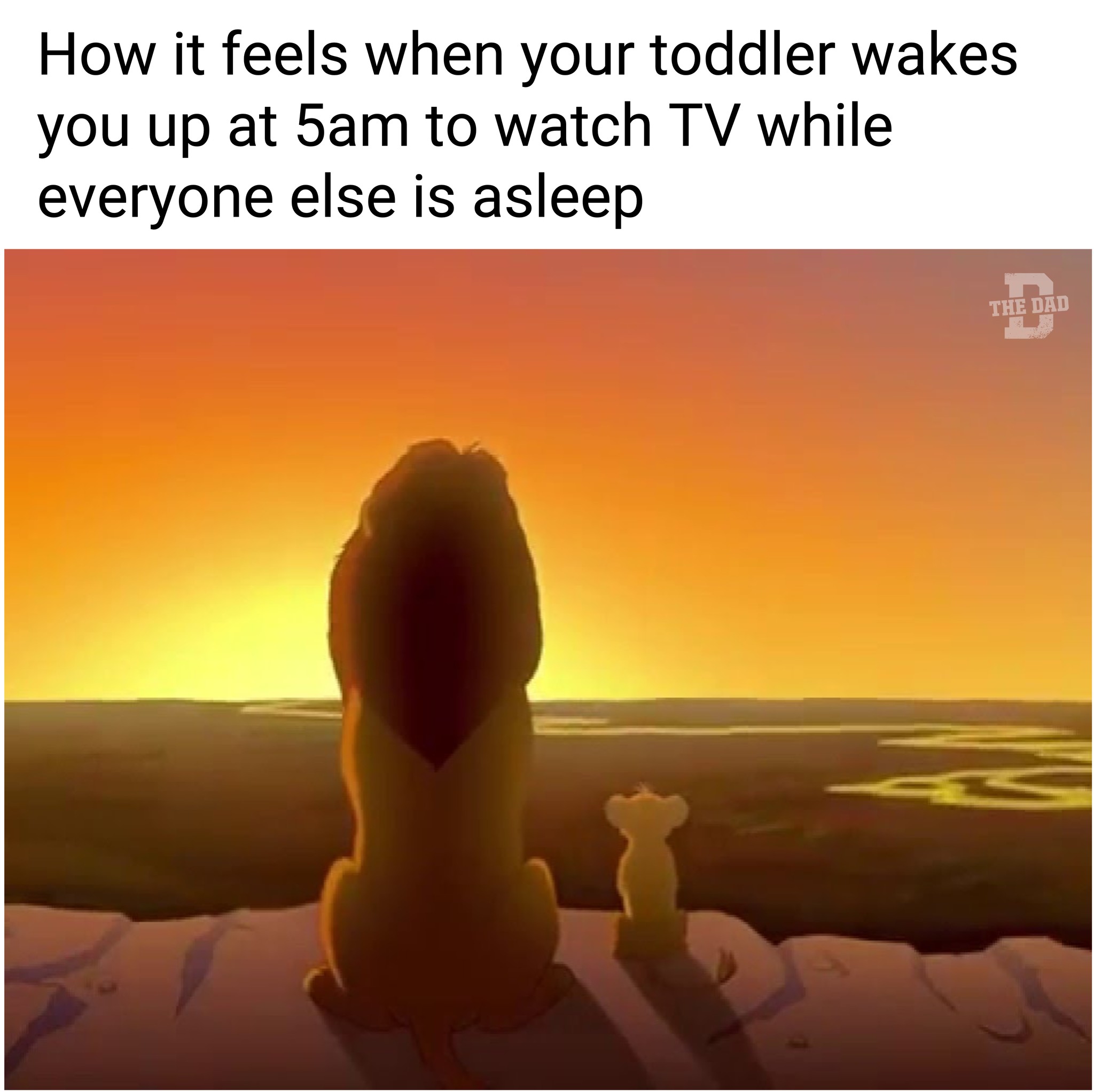 how it feels when your toddler wakes you up at 5am to watch tv while everyone else is asleep