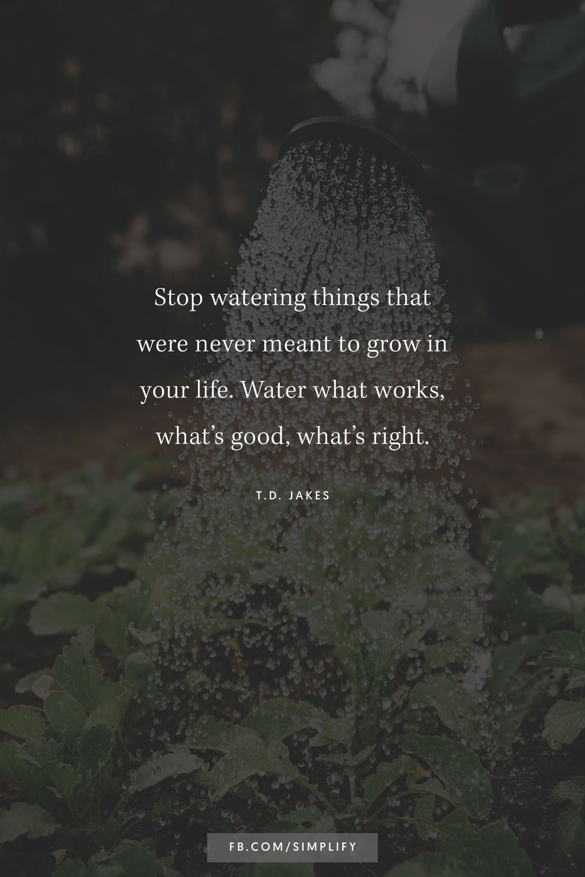 stop watering things that were never meant to grow in your life, water what works, what's good, what's right