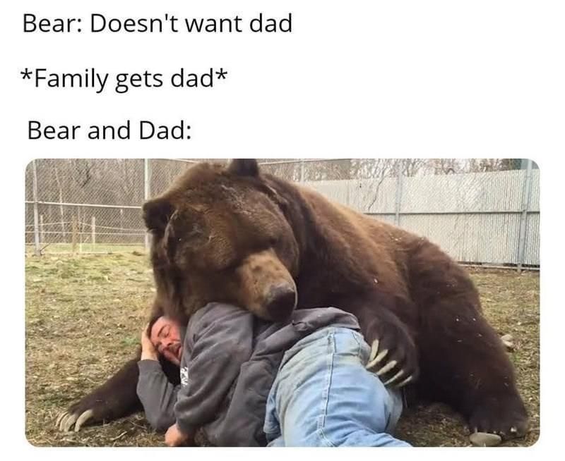 bear, doesn't want dad, family gets dad, bear and dad