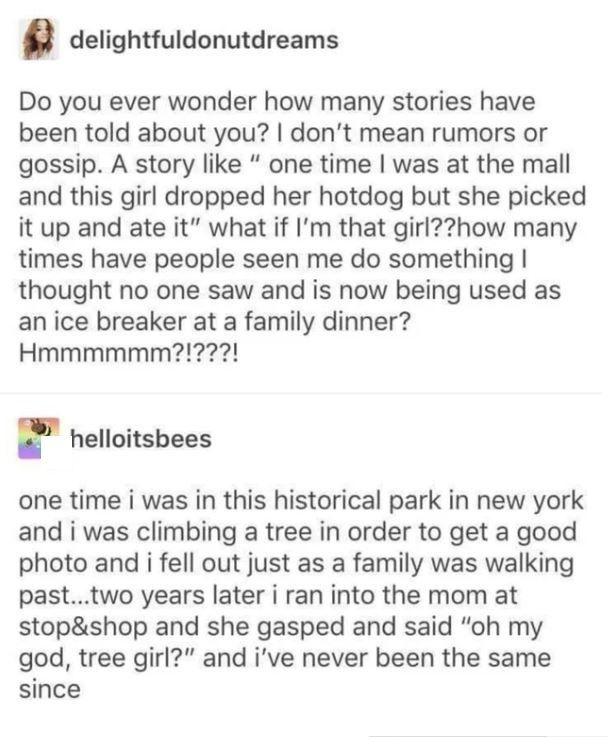 do you ever wonder how many stories have been told about you?, one time i was in this historical park in new york and i was climbing a tree, two years later i ran into the mom and she gasped and said, oh my god, tree girl?