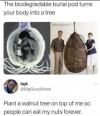 the biodegradable burial pod turns your body into a tree, plant a walnut tree on top of me so people can eat my nuts forever