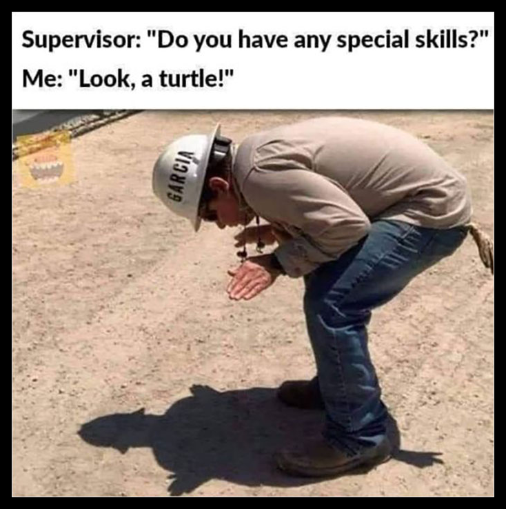 supervisor, do you have any special skills, look a turtle, shadow, lol