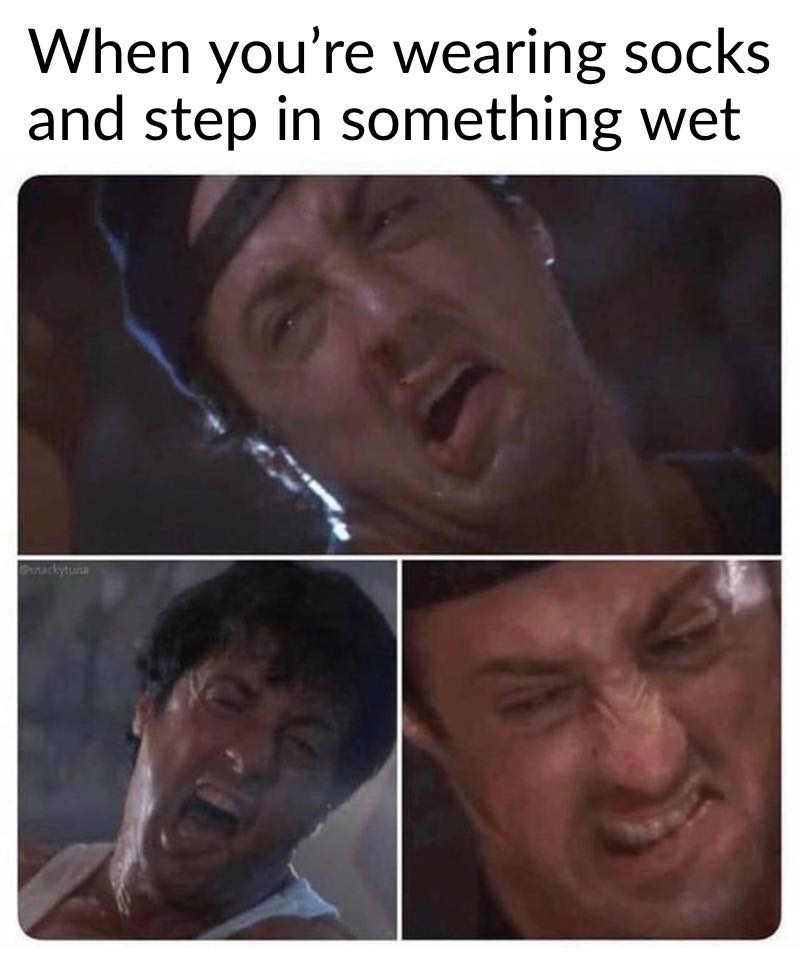 when you're wearing socks and step in something wet, meme