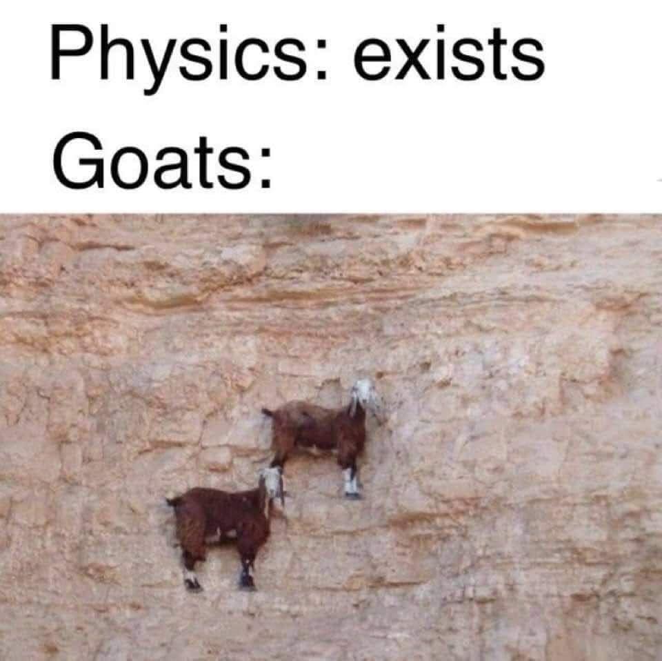 physics exists, goats, mountain goats