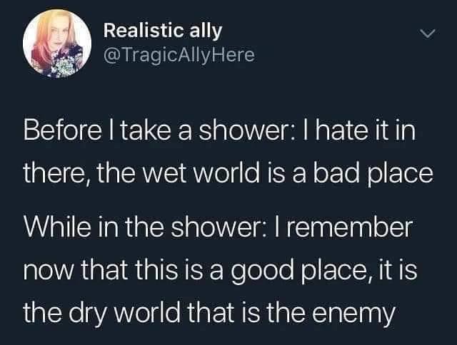 before i take a shower, i hate it in there, the wet world is a bad place, while in the shower, i remember now that this is a good place, it is the dry world that is the enemy