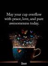 may your cup overflow with peace, love, and pure awesomeness today