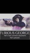 furious george, he's not curious, he's pissed