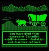 you have died from excessive canadian wilfdire smoke inhalation and diarrhea lettuce, oregon trail