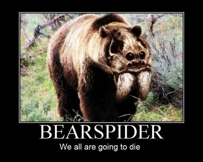 bear spider, we are all going to die, the end, demotivation, photoshop, wtf