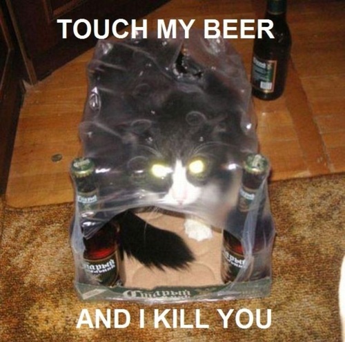 touch my beer and I will kill you, glowing eyes cat in cardboard and plastic bear crate, meme, cat