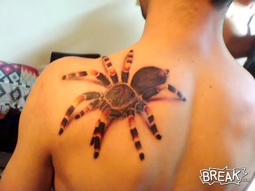 tattoo of a giant spider on shoulder blade