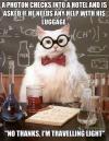 science cat, meme
