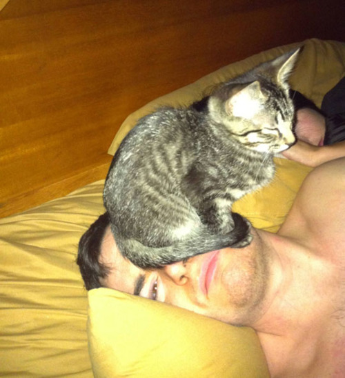cat sitting on guy's face