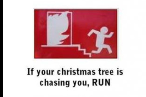 if your christmas tree is chasing you run