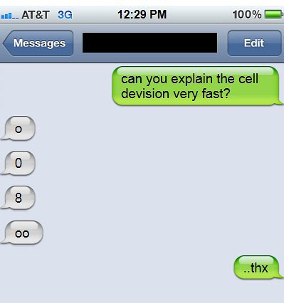 can you explain the cell division very fast?, o 0 8 oo