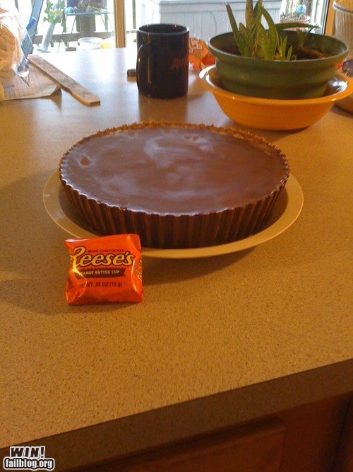 Reeses™ Peanut Butter Pie, candy, chocolate, peanut butter
