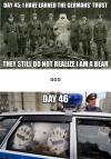 day 45 I have earned the german's trusts, they still do not realize I am a bear, day 46