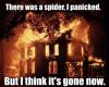 there was a spider, I panicked but I think it's gone now, house on fire
