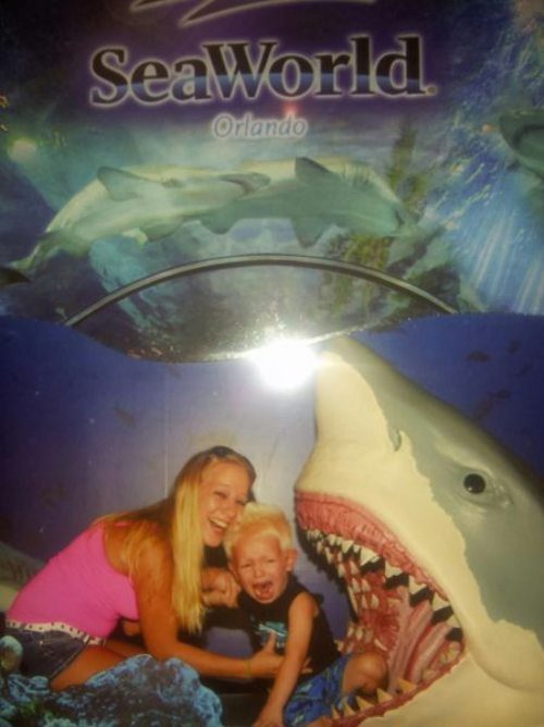kids, shark, seaworld