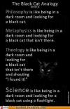 the black cat analogy, science, theology, philosophy