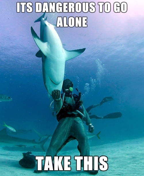 shark, meme