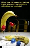 did you know that bananas turn black and bruised because they practice boxing night without your knowledge
