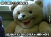 bear, stuffed animal, teddy, wtf, scary, teeth