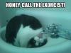 honey call the exorcist, cat drinking water from tap upside down, wtf