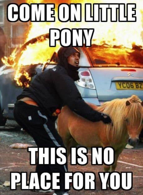 come on little pony, this is no place for you, riot, burning car