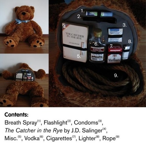 bear, kit, emergency, stuffed animal