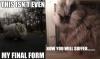 cat, evil, meme, final form