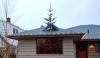 tree, roof, wtf, fail, win, christmas