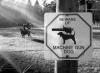 beware of machine gun dog, Before sharks with frickin' lasers, Dr Evil came up with some other ideas