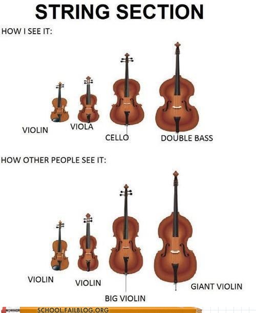 instrument, violin, meme