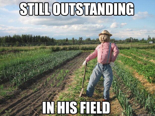 meme, 2012, where are they now, scarecrow , still outstanding in his field