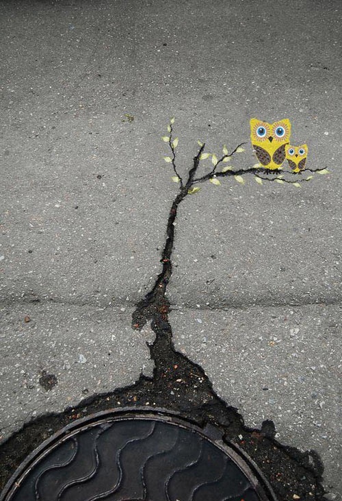 hacked irl, owl, crack